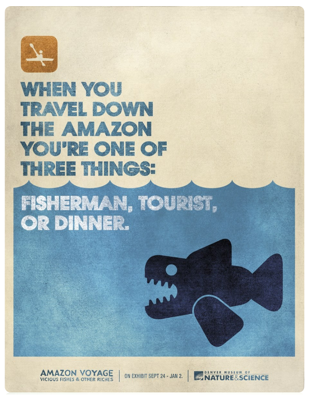 下游亚马逊时,三样事物之一:渔夫、旅游者或晚饭